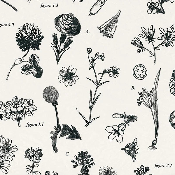Floral Designer Gift Tissue Paper - Botanicals