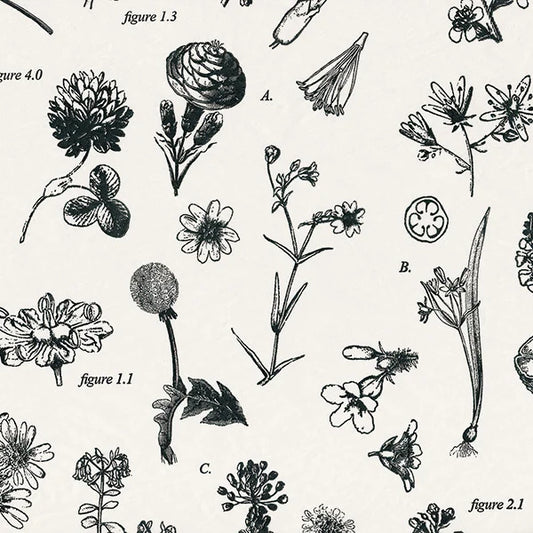 Floral Designer Gift Tissue Paper - Botanicals
