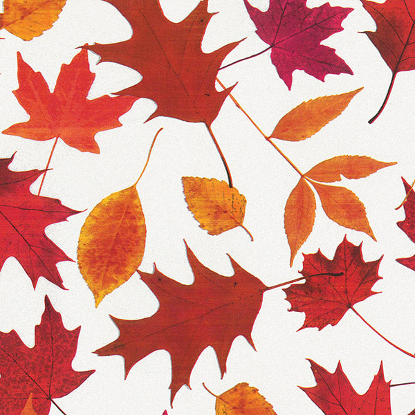 Autumn Floral Designer Gift Tissue Paper - Leaf